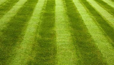 Lawn