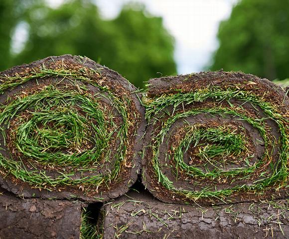Turf rolls ready to lay